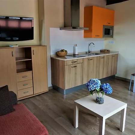 Apartahotel La Playina 3*